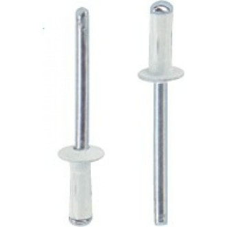 Тяговая заклепка ЦКИ 3.2х6 RAL9010 белый 500 шт.