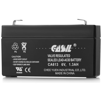 Аккумуляторная батарея CASIL CA613