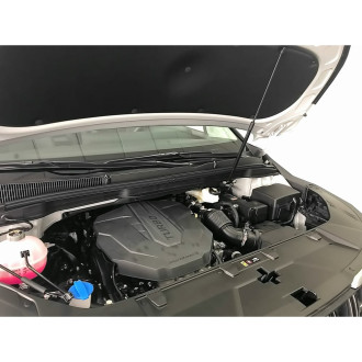 Упоры капота для KIA Carnival, 2020- Arbori HD.022107