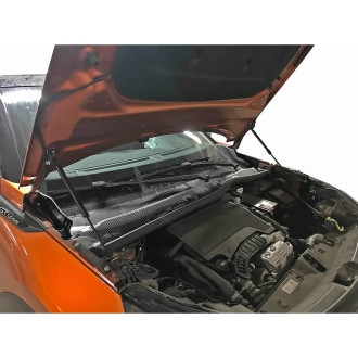 Упоры капота для PEUGEOT 2008, 2020- Arbori HD.032104