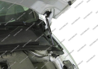 Упоры капота для Ford Focus III 2011-2019 АвтоУпор UFDFOC021