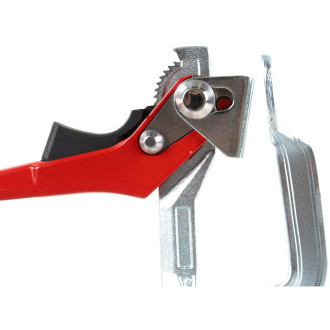 Рычажная струбцина BESSEY BE-GH20