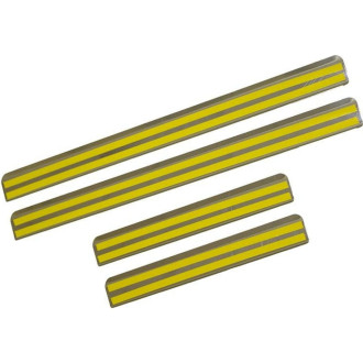Ступенчатые накладки внутренних порогов VW Passat B7 Dollex NSI-013
