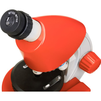 Микроскоп Discovery Micro Terra