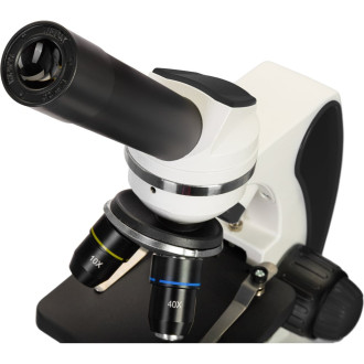 Микроскоп Discovery Pico Polar