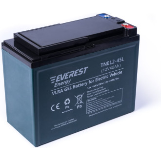 Тяговые аккумуляторные батареи EVEREST Energy TNE12-45L