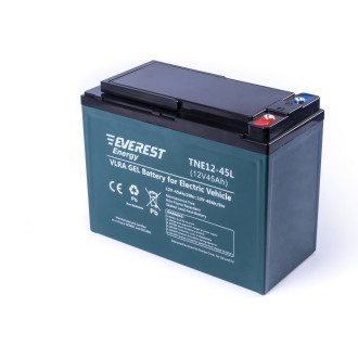 Тяговые аккумуляторные батареи EVEREST Energy TNE12-45L