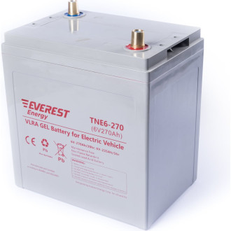 Тяговая аккумуляторная батарея EVEREST Energy TNE 6-270