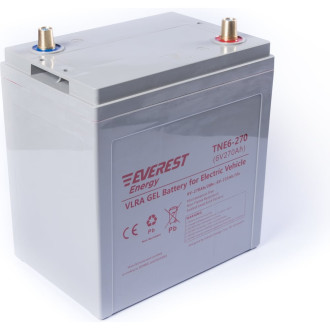 Тяговая аккумуляторная батарея EVEREST Energy TNE 6-270