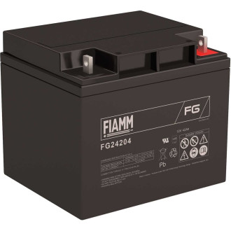 Аккумуляторная батарея FIAMM FG24204