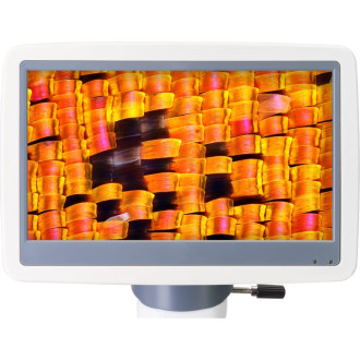 Монокулярный цифровой микроскоп Levenhuk D95L LCD