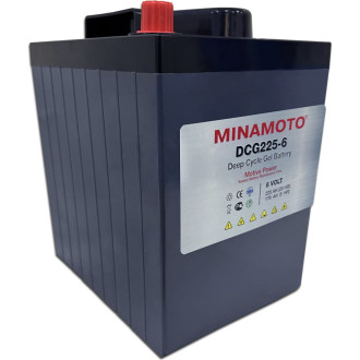 Тяговый моноблок MINAMOTO DCG225-6