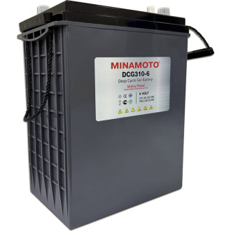 Тяговый моноблок MINAMOTO DCG310-6
