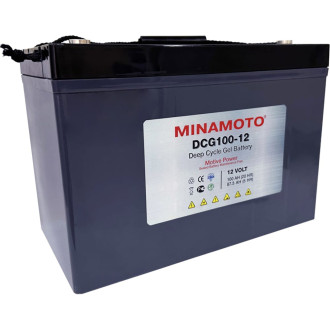 Тяговый моноблок MINAMOTO DCG100-12