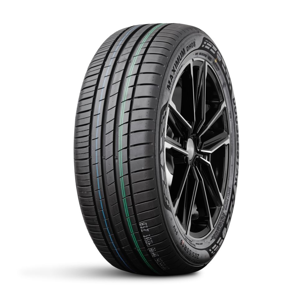 ДаблСтар 205/55/16 V 91 DH08
