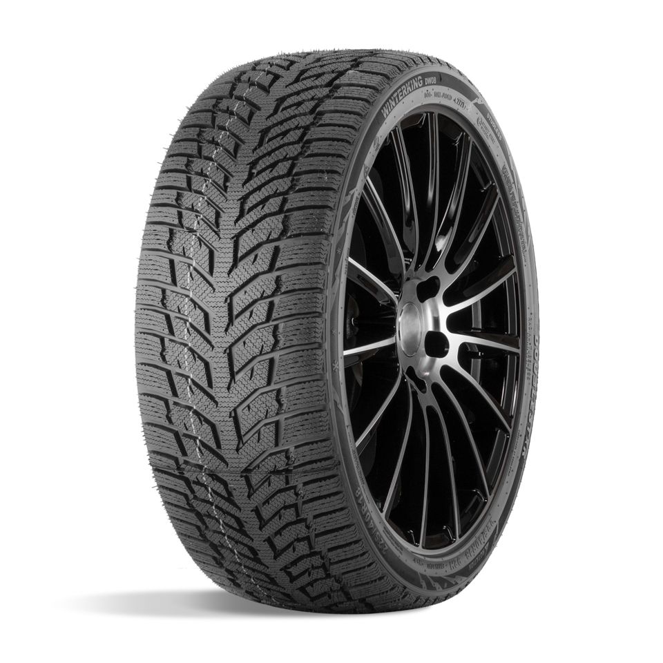 ДаблСтар 225/55/17 T 97 DW08