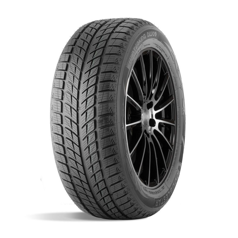 ДаблСтар  275/40/20  V 106 DW09