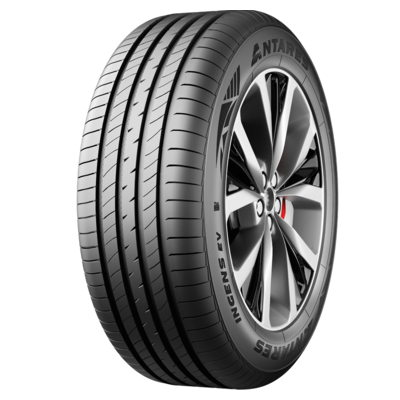 205/55R17 91V Ingens EV TL M+S