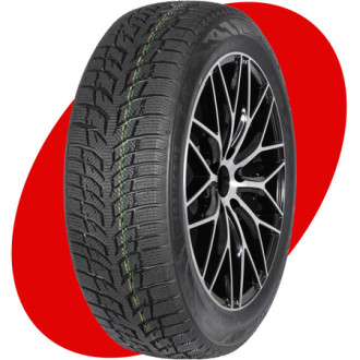 Snow Chaser 2 AW08 R16 205/60 96H