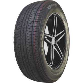 W2020 R18 225/60 100V
