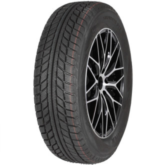 BEL-337 Artmotionsnow R15 195/65 91T