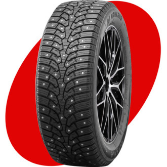 SW9 R19 255/40 100T шип