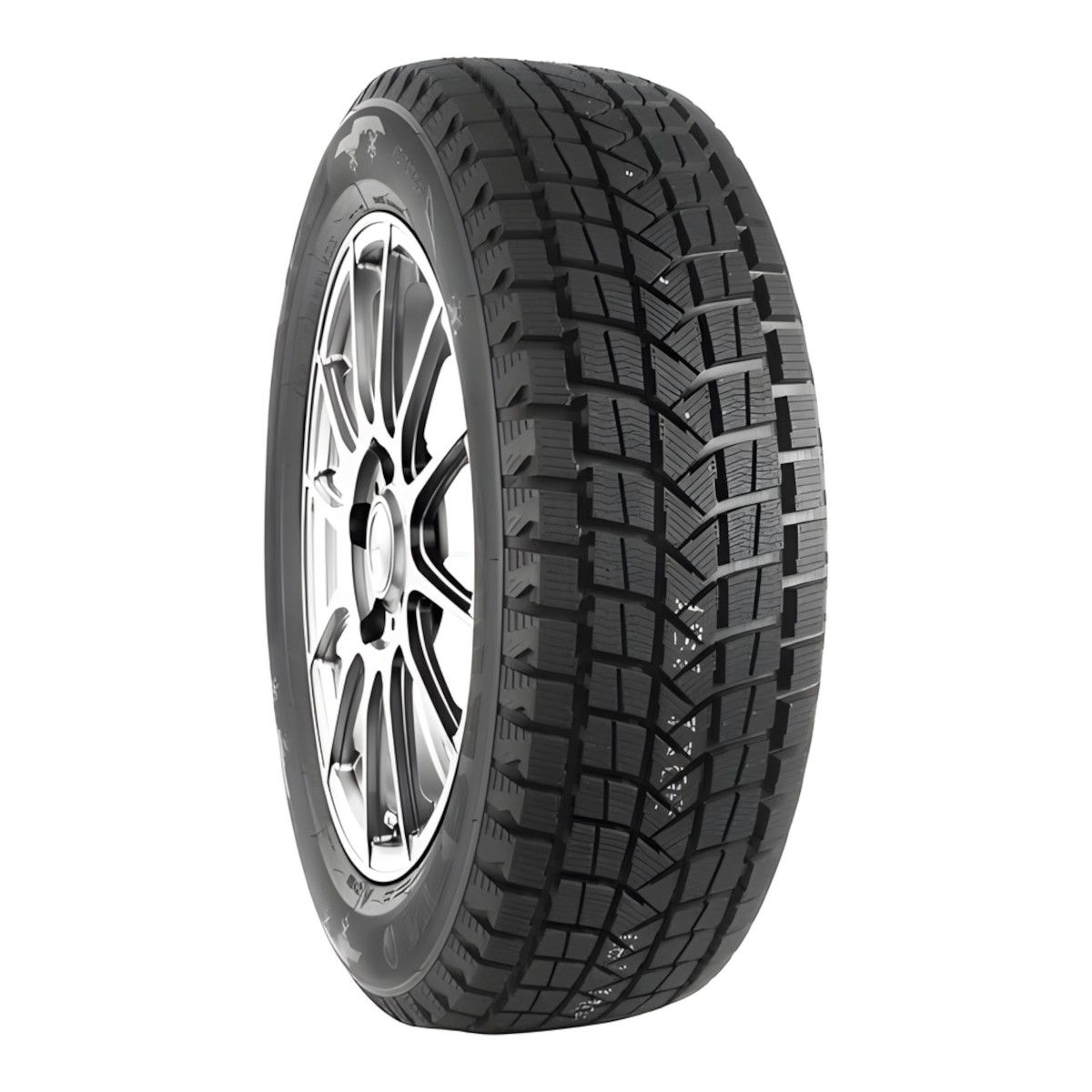 NEREUS 225/55/19 T 99 NS806