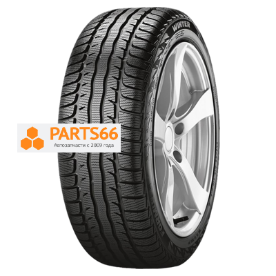 205/60R16 92H Winter TL