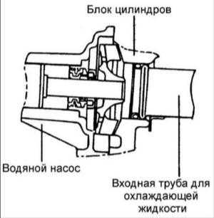  Трубки и шланги системы охлаждения Hyundai Elantra